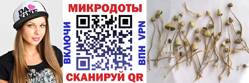 Галлюциногенные грибы мухоморы Сочи